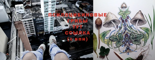 мяу мяу мука Алексеевка