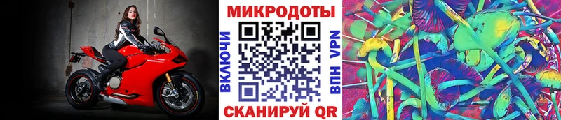 Галлюциногенные грибы мухоморы  MEGA ссылки  Воронеж  купить наркотики сайты 